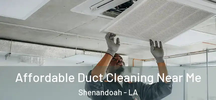  Affordable Duct Cleaning Near Me Shenandoah - LA