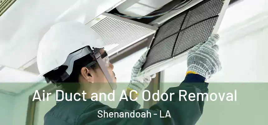 Air Duct and AC Odor Removal Shenandoah - LA