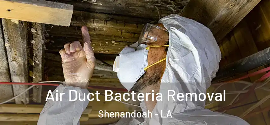  Air Duct Bacteria Removal Shenandoah - LA