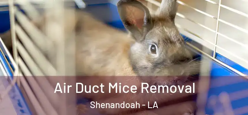  Air Duct Mice Removal Shenandoah - LA