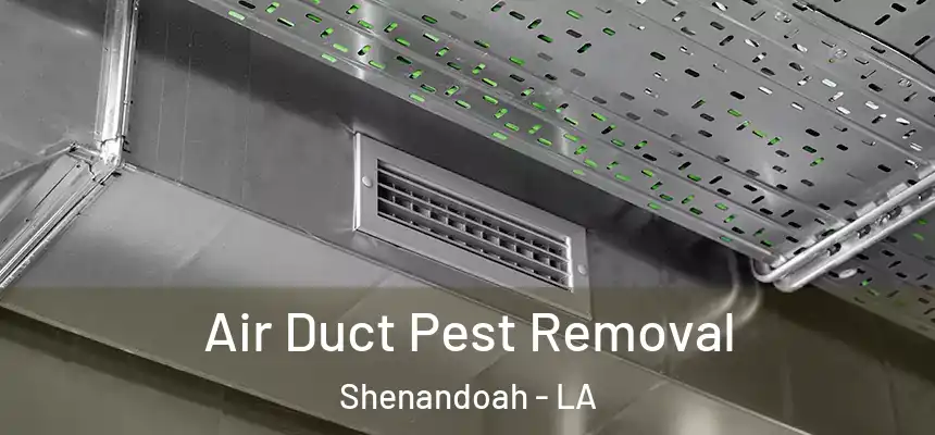  Air Duct Pest Removal Shenandoah - LA