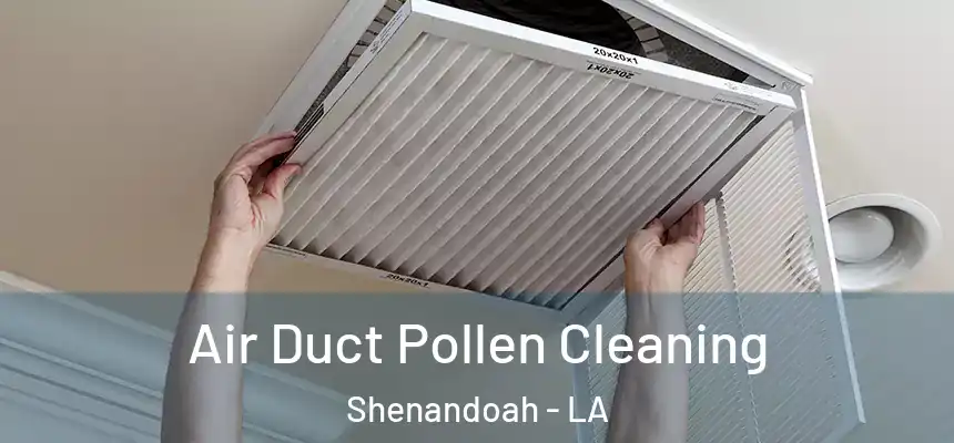  Air Duct Pollen Cleaning Shenandoah - LA