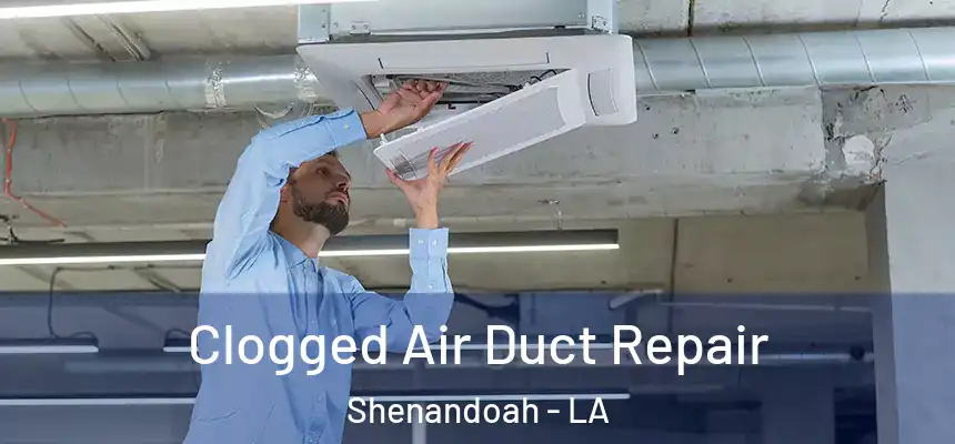  Clogged Air Duct Repair Shenandoah - LA