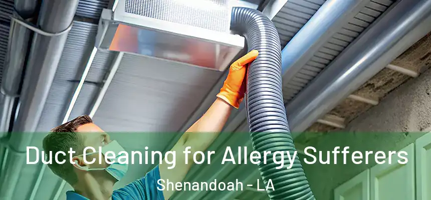  Duct Cleaning for Allergy Sufferers Shenandoah - LA