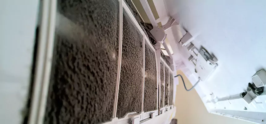 Preventive Air Duct Bacteria Removal in Shenandoah