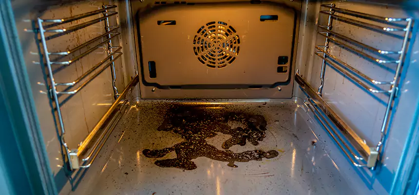 Our Dryer Vent Mold Cleaning Services in Shenandoah, LA