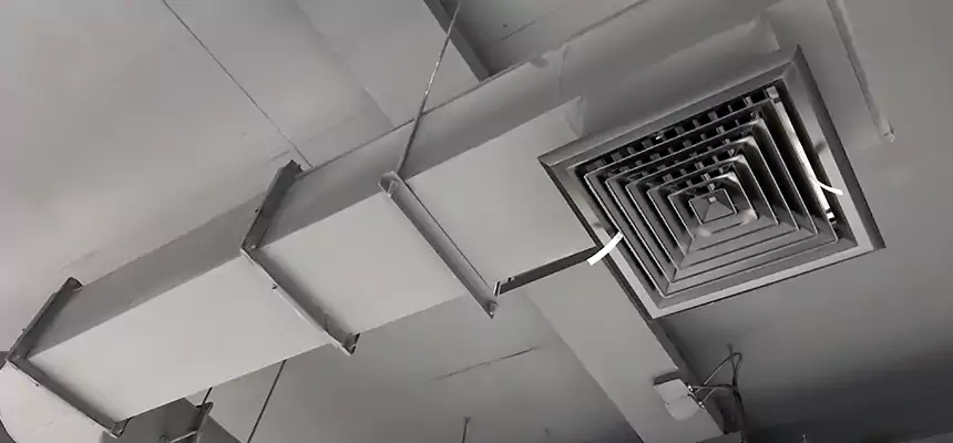 Our Pest Removal From Ducts Services in Shenandoah, LA