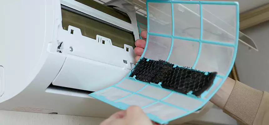 Gentle Ductwork Odor-Control Pet Dander Duct Cleaning in Shenandoah, LA