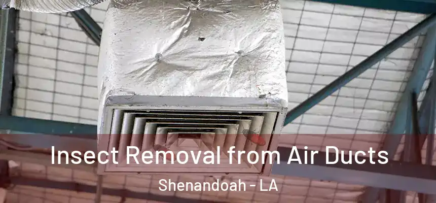  Insect Removal from Air Ducts Shenandoah - LA