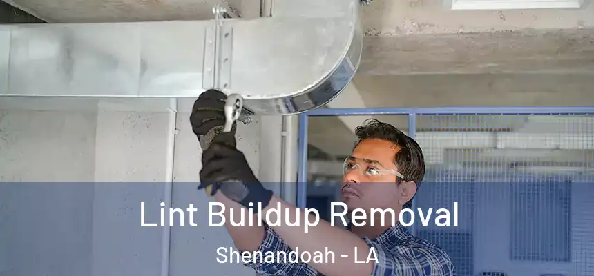  Lint Buildup Removal Shenandoah - LA