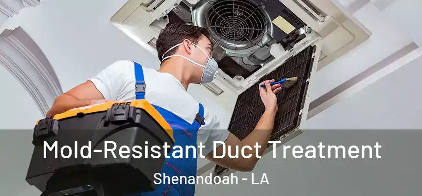  Mold-Resistant Duct Treatment Shenandoah - LA