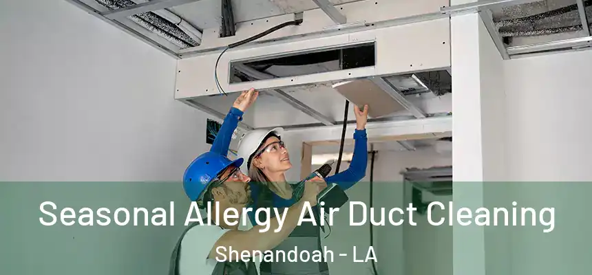  Seasonal Allergy Air Duct Cleaning Shenandoah - LA