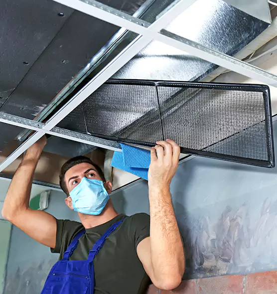 About Air Duct Bacteria Removal in Shenandoah