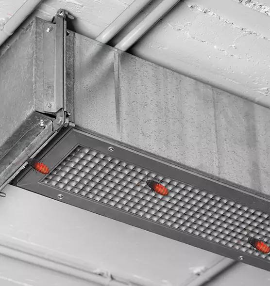 About Air Duct Cockroach Removal in Shenandoah, LA