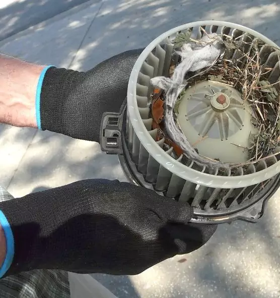 About Air Duct Rat Removal in Shenandoah, LA