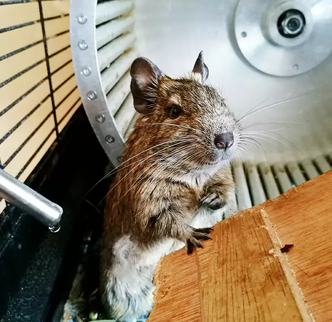 Why Homeowners & Businesses Trust Us Shenandoah, LA