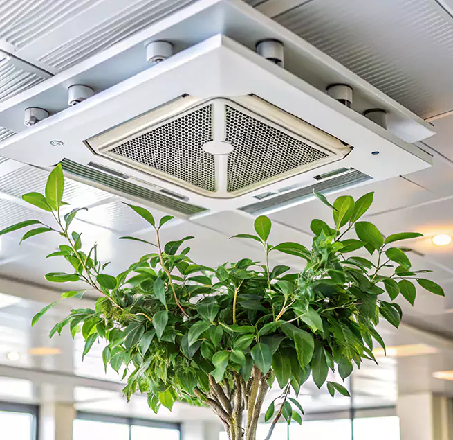 Why Homeowners & Businesses Trust Us in Shenandoah, LA?