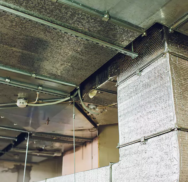 Why Homeowners & Businesses Trust Us in Shenandoah, LA?