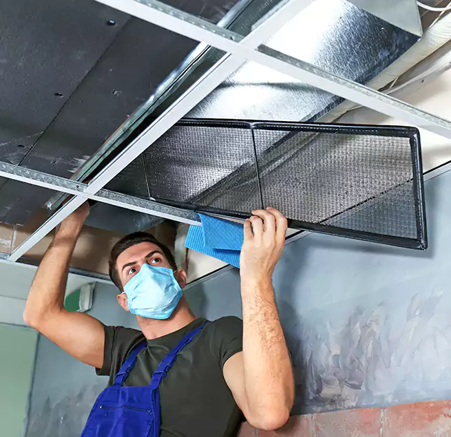 Why Homeowners Businesses Trust Us in Shenandoah, LA