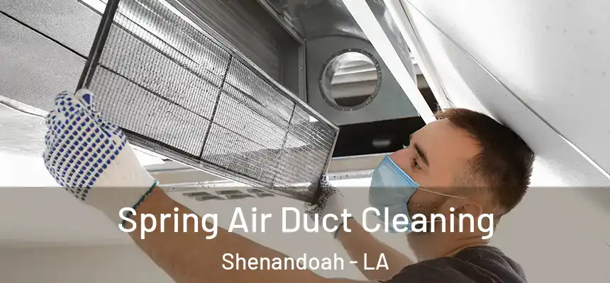  Spring Air Duct Cleaning Shenandoah - LA