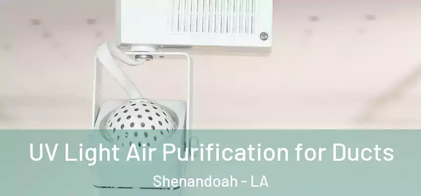  UV Light Air Purification for Ducts Shenandoah - LA