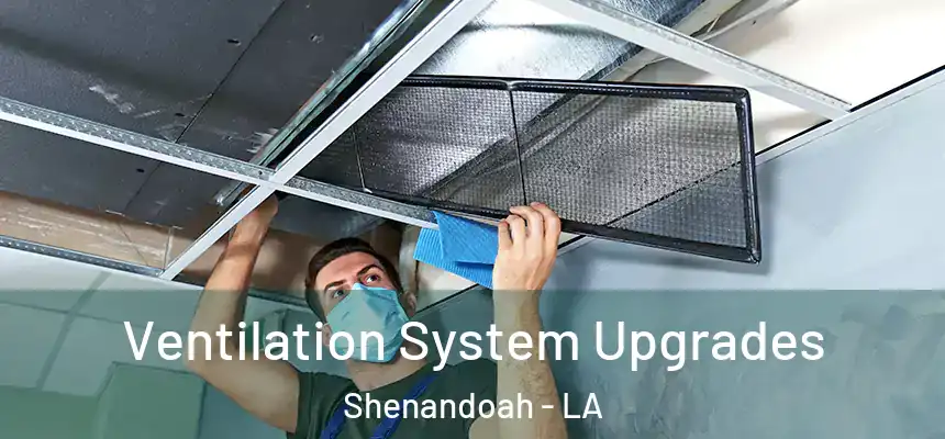  Ventilation System Upgrades Shenandoah - LA